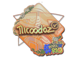 nicoodoz (Holo) | Rio 2022