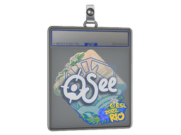Sticker Slab | oSee | Austin 2025