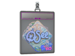 Sticker Slab | oSee (Holo) | Paris 2023
