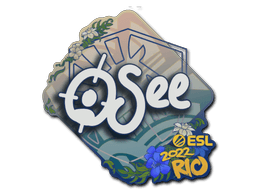 oSee | Rio 2022