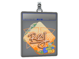 Sticker Slab | roeJ | Rio 2022
