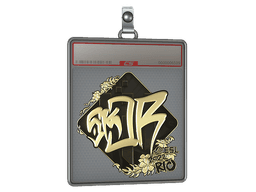 Sticker Slab | sk0R (Gold) | Rio 2022