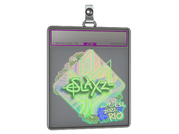 Sticker Slab | slaxz- (Holo) | Austin 2025