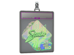 Sticker Slab | Staehr (Holo) | Rio 2022