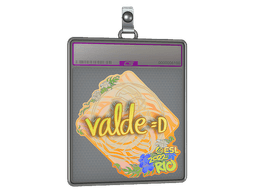 Sticker Slab | v4lde (Holo) | Rio 2022