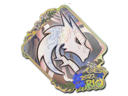 Team Spirit (Holo) | Rio 2022