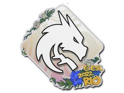 Team Spirit | Rio 2022
