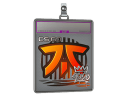Sticker Slab | Fnatic (Foil) | Cologne 2016