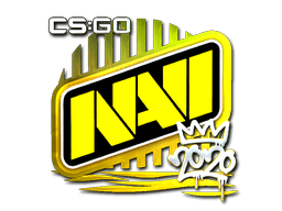Natus Vincere (Foil) | 2020 RMR