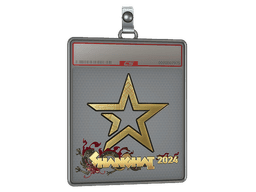 Sticker Slab | Complexity Gaming (Gold) | Shanghai 2024