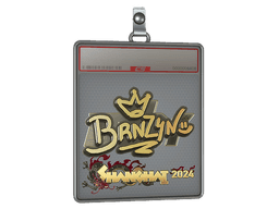 Sticker Slab | brnz4n (Gold) | Shanghai 2024