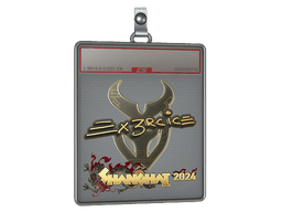 Sticker Slab | Ex3rcice (Gold) | Budapest 2025
