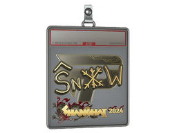 Sticker Slab | snow (Gold) | Shanghai 2024
