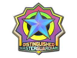 Distinguished Master Guardian (Holo)