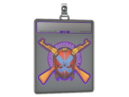 Sticker Slab | Master Guardian Elite (Holo)