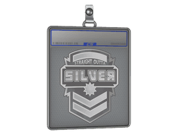 Sticker Slab | Silver
