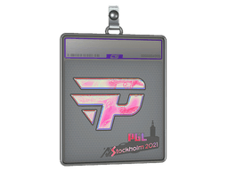 Sticker Slab | paiN Gaming (Holo) | Shanghai 2024