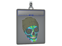 Sticker Slab | Viggo