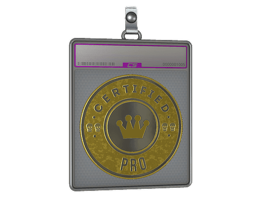 Sticker Slab | The Pro (Foil)