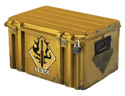 Spectrum Case