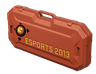 eSports 2013 Case